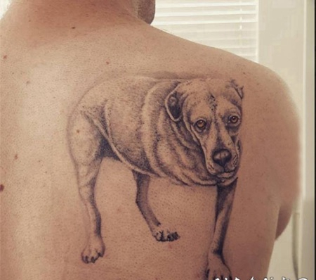 小狗纹身图片 男生后背上黑灰的小狗纹身图片
