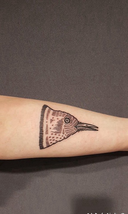 纹身鸟 女生手臂上创意的鸟纹身图片