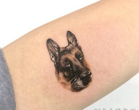 小狗纹身图片 女生小臂上可爱的小狗纹身图片