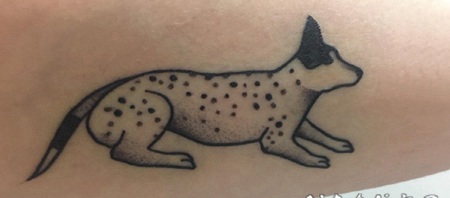 小狗纹身图片 女生小臂上点刺的小狗纹身图片