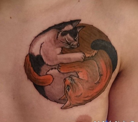 小猫咪纹身 男生胸上彩绘的小猫咪纹身图片