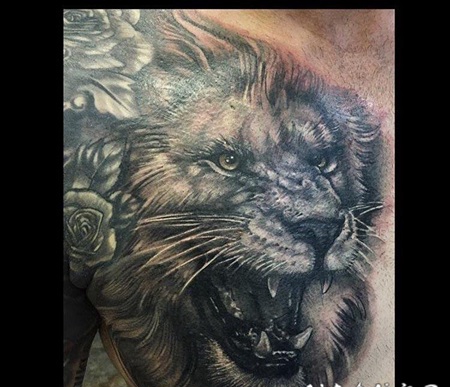 狮子王纹身 男生胸上素描的狮子纹身图片