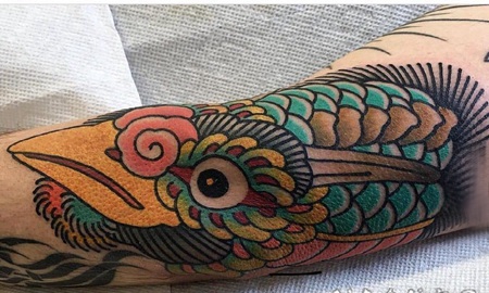 纹身鸟 男生小臂上彩色的鸟纹身图片
