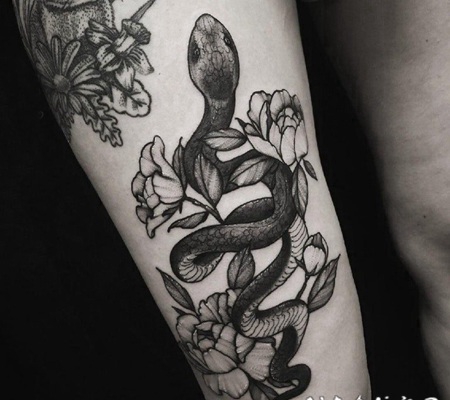 蛇和花朵纹身图案 女生大腿上蛇和花朵纹身图片