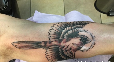 纹身鸟 男生大臂上黑灰的鸟纹身图片