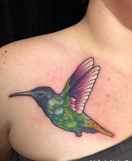 纹身鸟 男生胸前彩色的鸟纹身图片