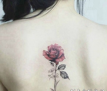 享受爱情的芬芳，唯美背部玫瑰纹身
