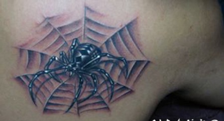炫酷立体蜘蛛纹身图片