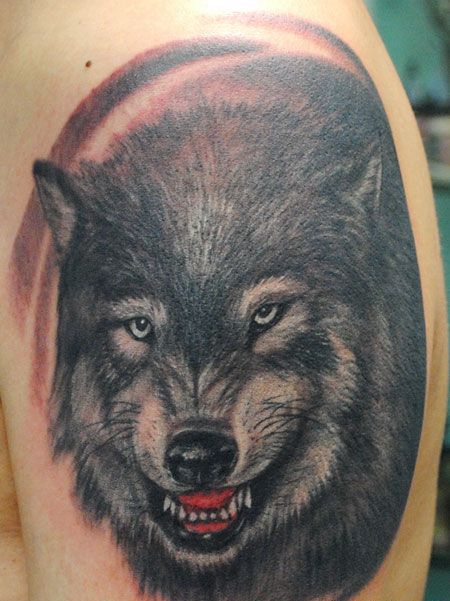 手臂黑色写实狼头纹身图案