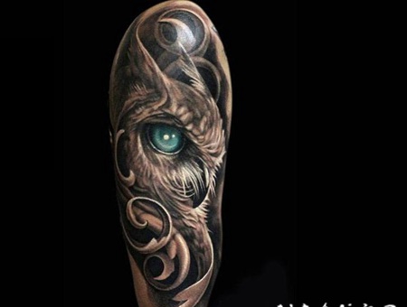 个性的小动物抽象线条猫头鹰纹身图案