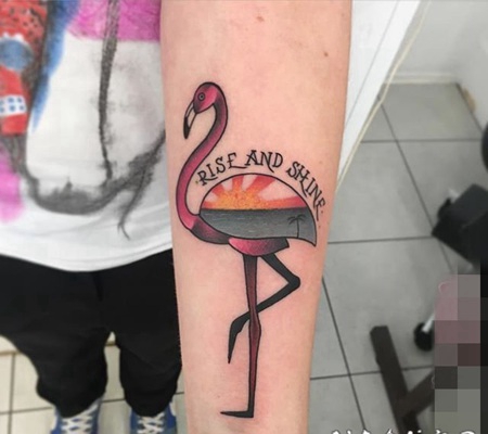 简单个性线条纹身火烈鸟纹身小动物纹身图案大全