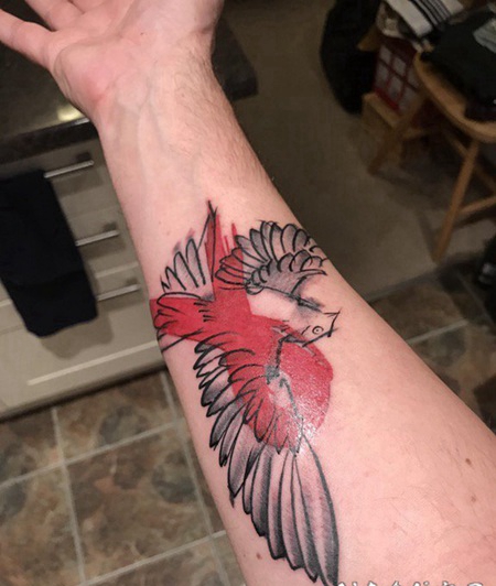 手臂上黑色粗线条纹身动物鸟纹身图片