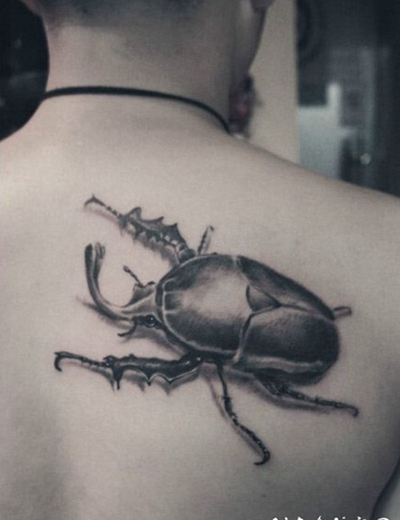 男性背部经典流行的独角仙昆虫纹身