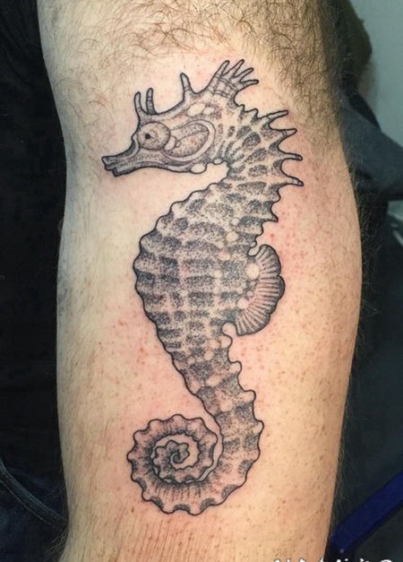 手大臂上一只帅气的黑灰色海马图案纹身