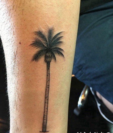 男性手臂上彩色的小清新植物纹身棕榈树纹身图片