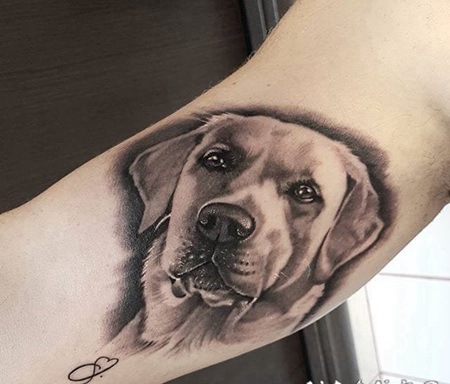 可爱的拉布拉多犬宠物狗纹身小动物纹身图案