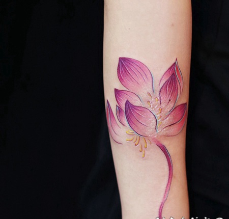 手臂一朵鲜艳的荷花纹身图案