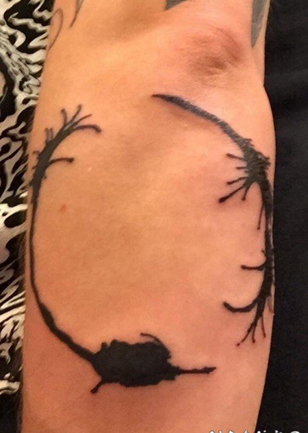 手臂肘部附近上简单的黑色杂草状的纹身