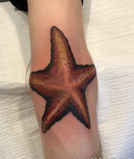手臂肘部上的大海星纹身