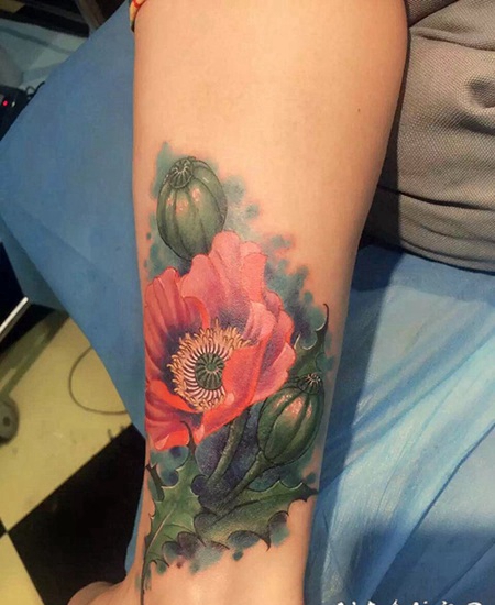 手臂罂粟花彩绘纹身图案