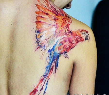 女性后肩漂亮的彩色鹦鹉纹身图案