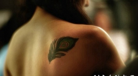 性感女生背部孔雀羽毛纹身图案