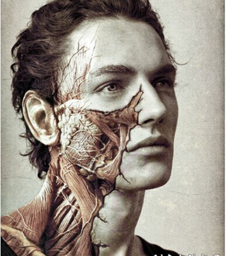 欧美帅哥头部颈部超个性树纹身图案