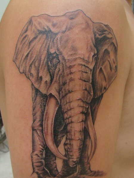 手臂真实大象纹身图案
