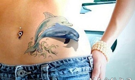 腹部逼真的D海豚纹身
