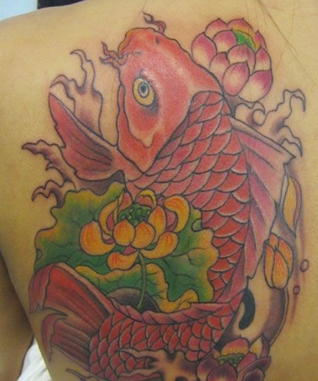 背部红色鲤鱼荷花纹身图案