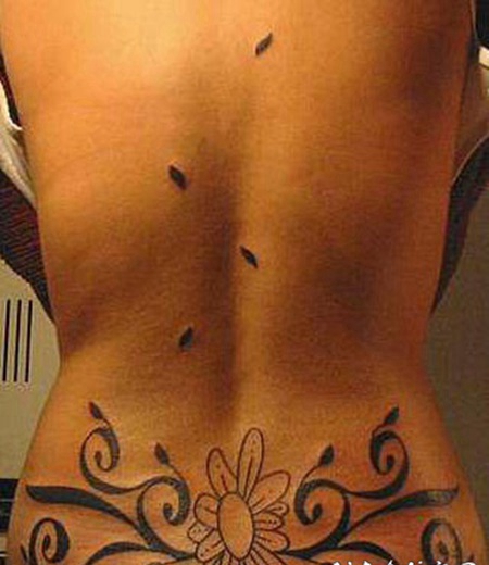 鑳岄儴榛戠櫧鑺辨湹钘よ敁绾硅韩鍥炬