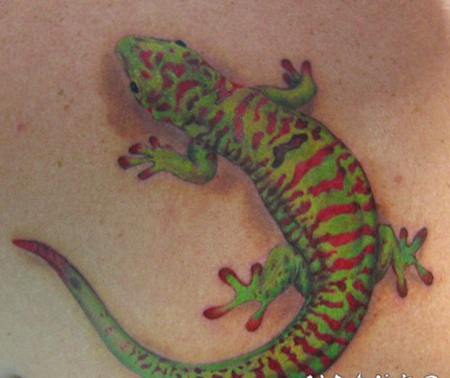 鑳岄儴鍐欏疄鐨勭豢鑹插拰绾㈣壊澹佽檸绾硅韩鍥炬