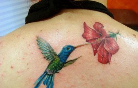 背部蜂鸟花朵纹身图案