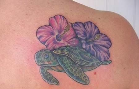 肩部海龟木槿花纹身图案