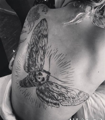 骷髅飞蛾，后背飞蛾纹身图案