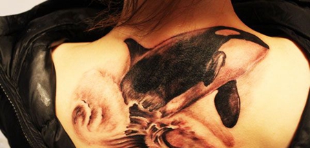 美女背部鲸鱼纹身图案