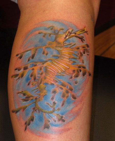 小腿上的海马的纹身图案