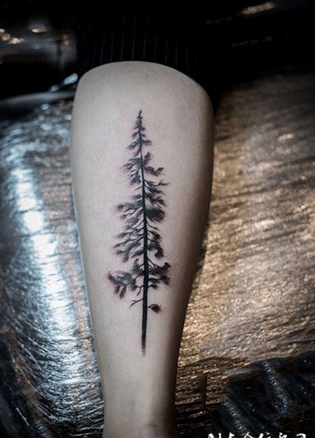 站如松，腿部松树纹身图案