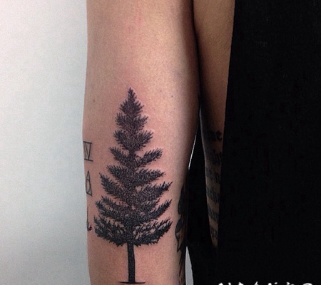 手臂精确的黑色小云杉树纹身图案