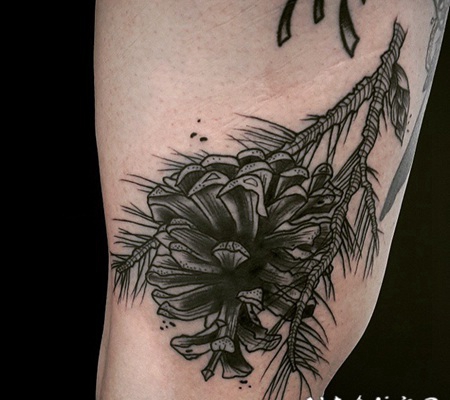 黑色点刺树枝松果手臂纹身图案