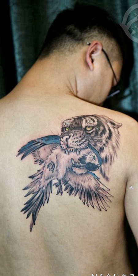 弱肉强食，后背老虎与鹦鹉个性纹身