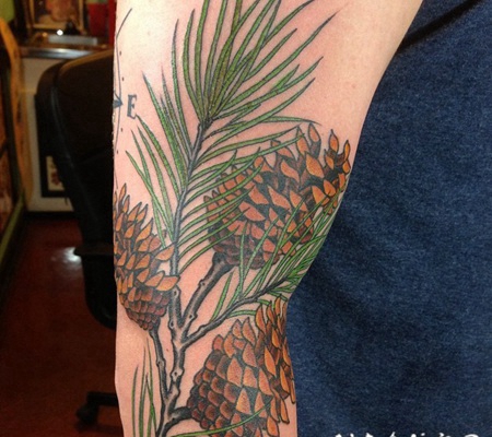 手臂难以置信的写实松树枝与松果纹身图案