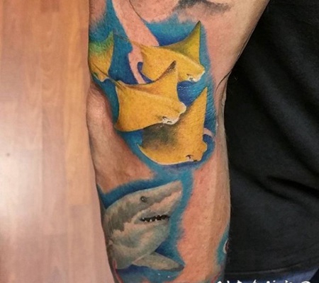 逼真的鲨鱼和其他海底动物彩色手臂纹身图案