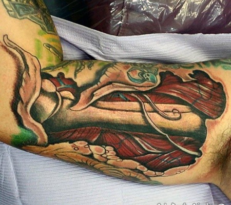 人类骨骼和肌肉彩色手臂纹身图案