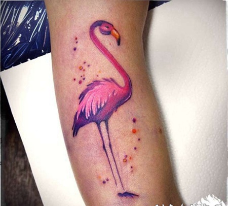 手臂甜美的粉红色火烈鸟色纹身图案