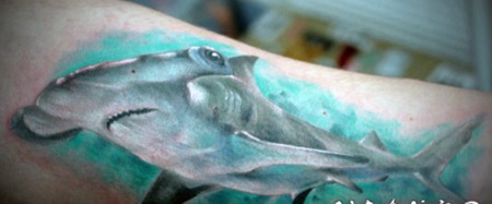 难以置信的逼真彩色鲨鱼手臂纹身图案