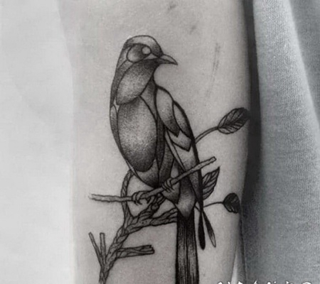 雕刻风格的点刺鸽子树枝手臂纹身图案