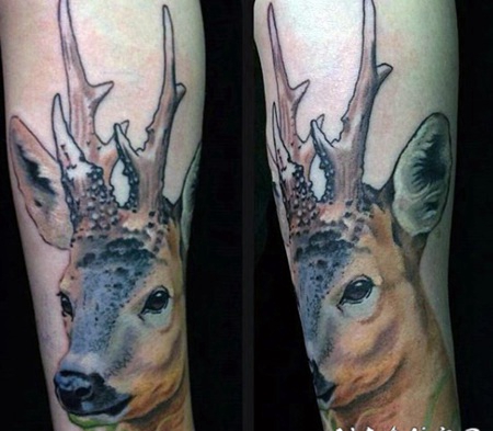 天然的彩色小鹿手臂纹身图案