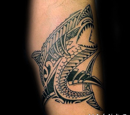 手臂黑色波利尼西亚风格的鲨鱼纹身图案