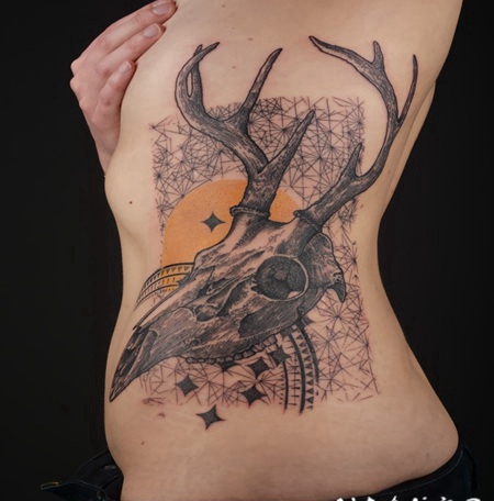 侧肋鹿头骨与各种装饰彩色纹身图案